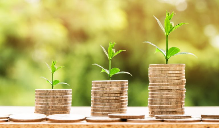 Succession and assets: Especially for family businesses and foundations, it is important to preserve and increase wealth over generations.