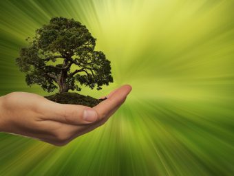 Sustainability: EU issues new regulations to prevent the so-called "greenwashing" of financial products.