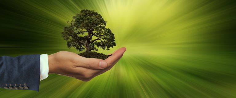 Sustainability: EU issues new regulations to prevent the so-called "greenwashing" of financial products.