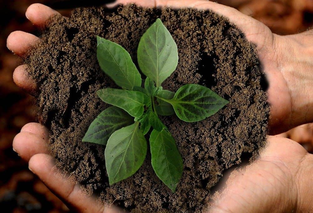 Preserve valuable assets for generations – Succession can be mastered with well thought-out tax planning.