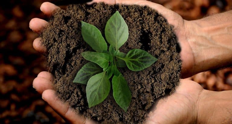 Preserve valuable assets for generations – Succession can be mastered with well thought-out tax planning.