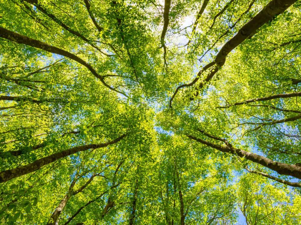 Alternative asset classes, alternative investments, investors, investor, ESG