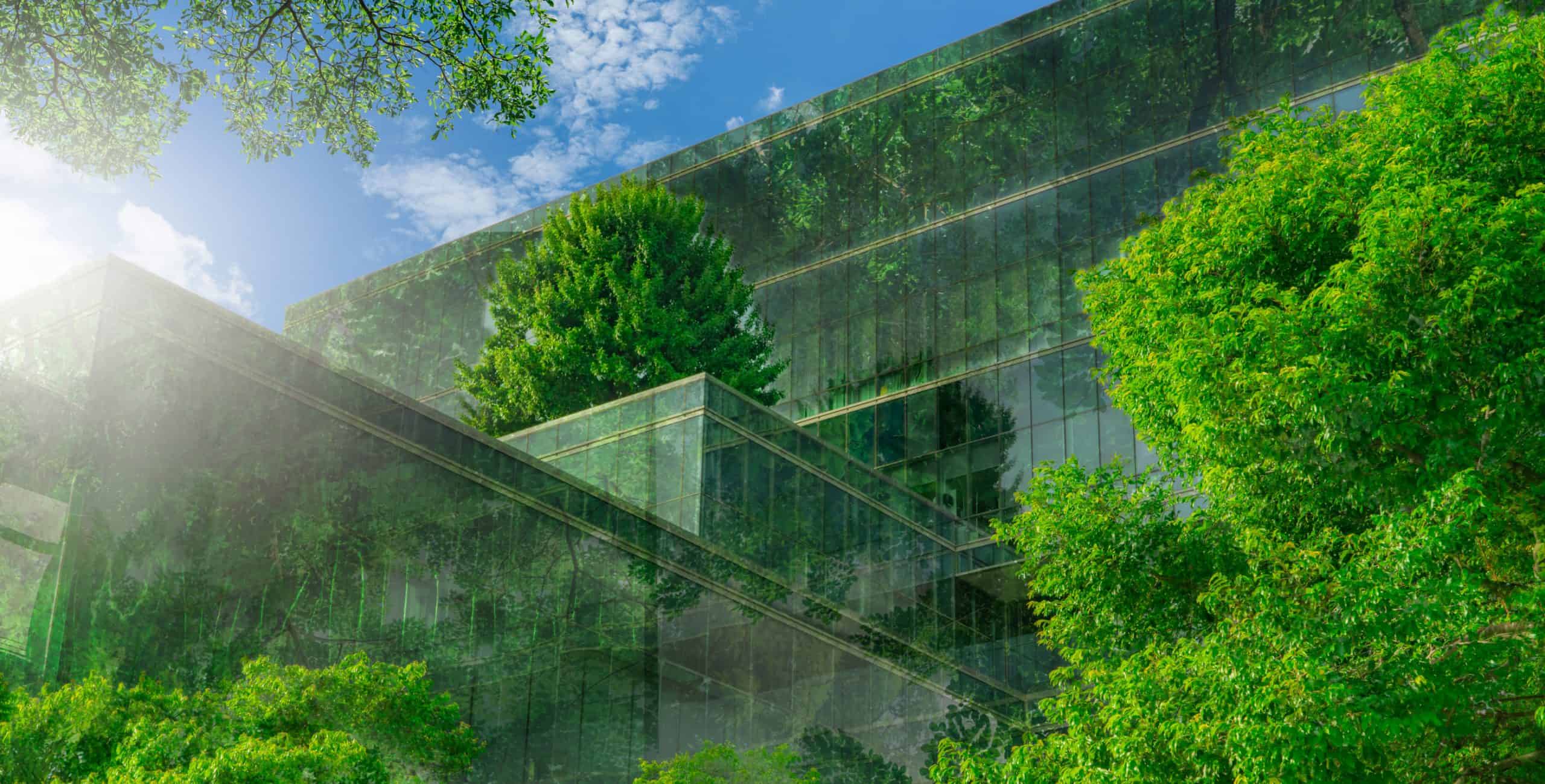 SFDR disclosures, pre-contractual information, RTS Regulation, sustainability information