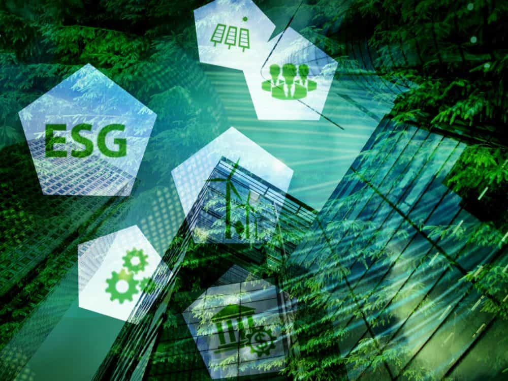 Impact, Impact Investing, Positionspapier