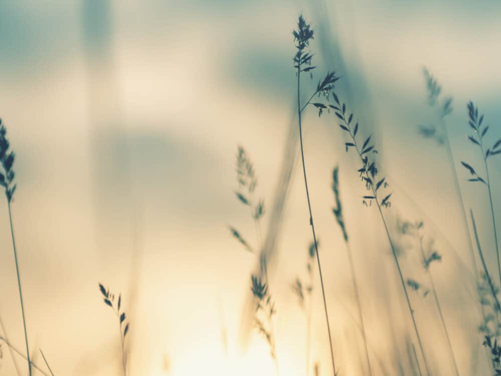 New EU Anti-Money Laundering Package