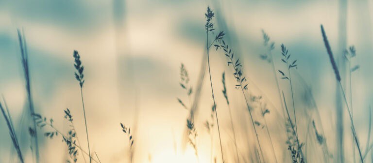 New EU Anti-Money Laundering Package