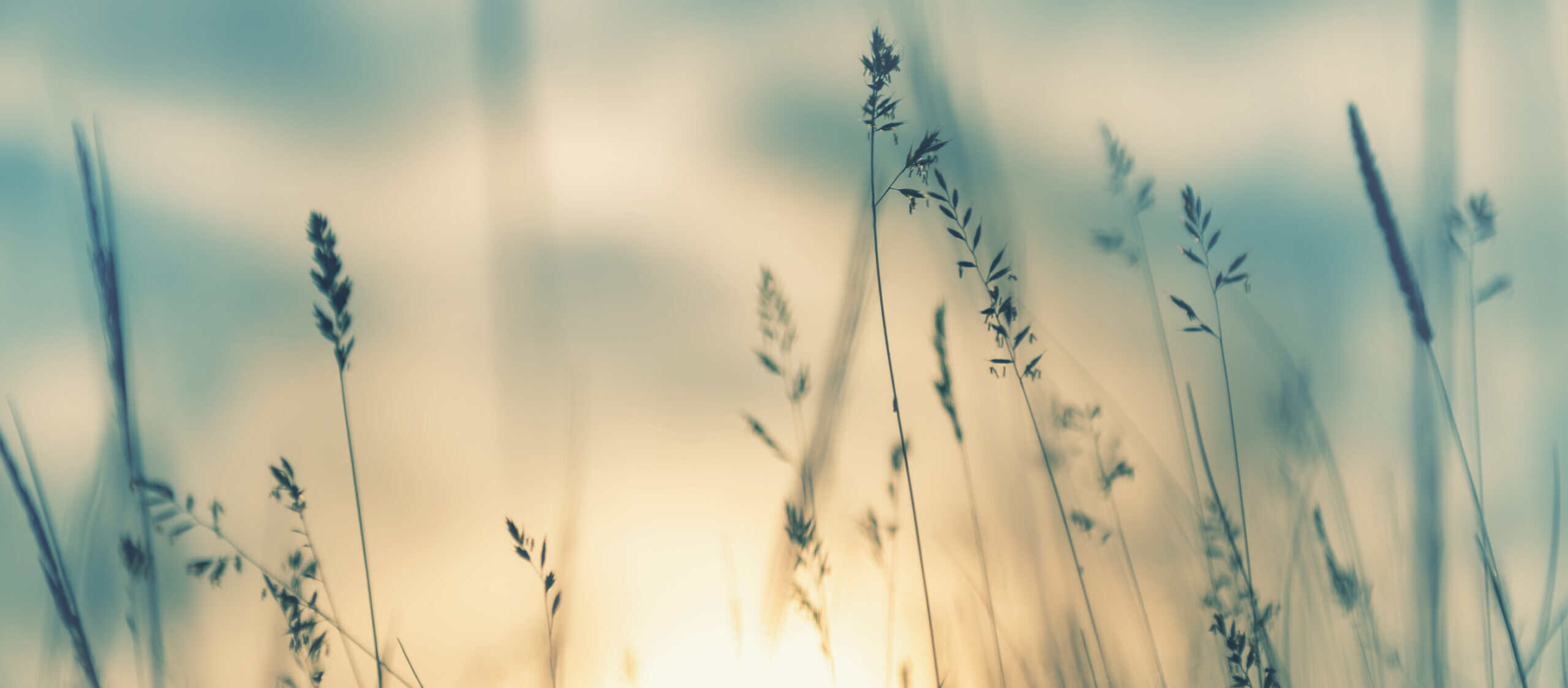 New EU Anti-Money Laundering Package