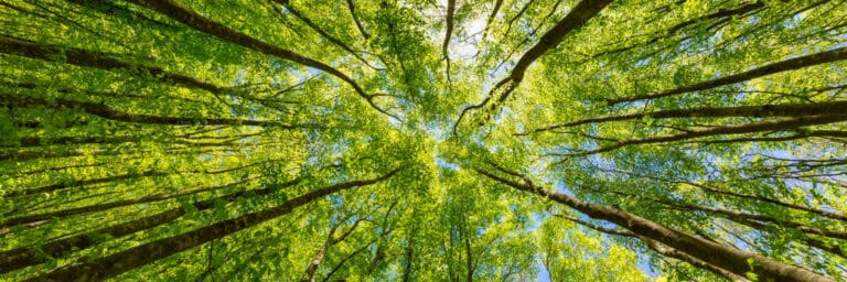 sustainability claims, sustainability
